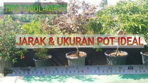 Jarak Tanam Ideal Ukuran POT Ideal TABULAMPOT YouTube