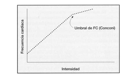 Frecuencia Cardiaca M Xima Y Frecuencia Cardiaca En Reposo Qu Son Y