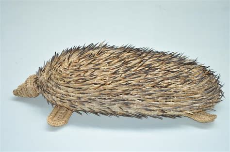 Echidna | Aboriginal & Pacific Art