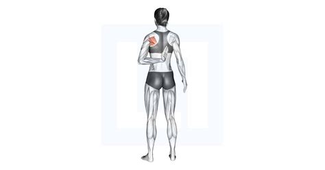 Reaching Up Shoulder Stretch Guide Benefits And Form