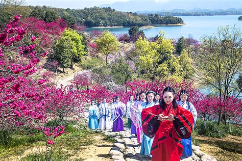 鱼米之乡，山水武宁，春暖花开时去阳光照耀29°度假区看花朝节行客旅游网