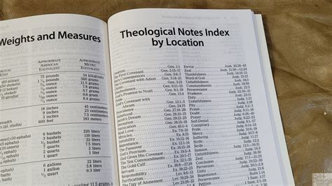 Niv Basic Study Bible Review Bible Buying Guide