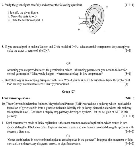 Neb Class 12 Biology Model Question 2081 With Solution