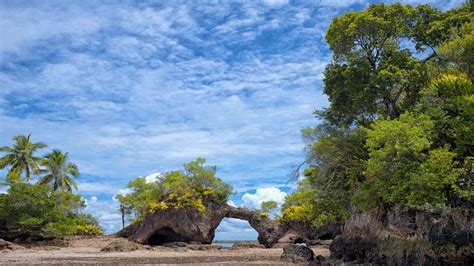 Conheça A Ilha Da Pedra Furada Na Península De Maraú Pousada Canto Do Sol