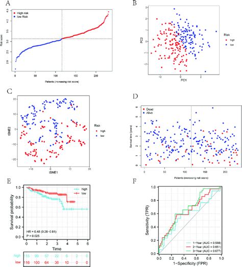 Analysis Of The 4 Gene Signature Model In The Icgc Cohort A The