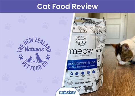 The New Zealand Natural Pet Food Co Brand Review 2025 A Detailed Look