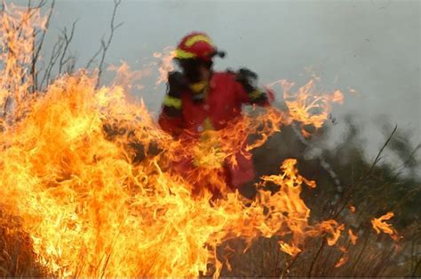 Dozens Of Firefighters Battle Wildfire In Greeces Evia