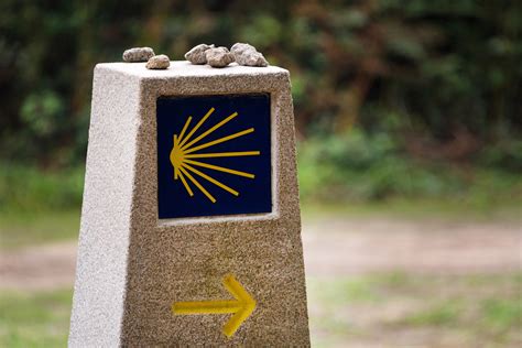 Las 4 Rutas Del Camino De Santiago ¿cuál Hacer Abeiro Da Loba