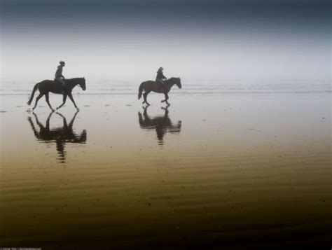 Striking Reflective Photography (30 pics) - Izismile.com