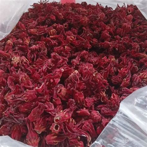 Jual Gr Bunga Rosella Merah Kering Premium Red Rosella Hibiscus Tea