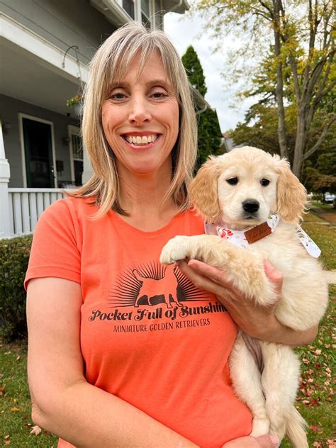 About Our Miniature Golden Retrievers — Pocket Full Of Sunshine