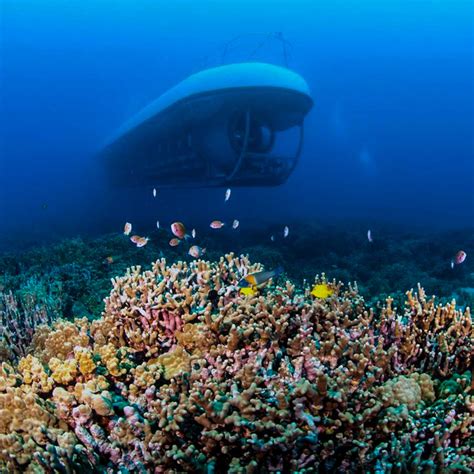 Atlantis Discovery Dive Tour On Oahu Waikiki Tours And Activities