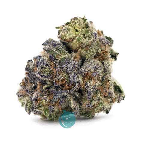 Platinum Kush Breath Craft Indica West Coast Releaf Online