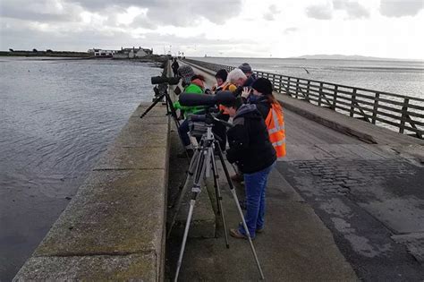 The Names Of Birdwatch Ireland Workers Are So Puntastic You Wont