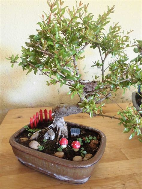 Estilo Y Hogar Decoración Sobre Mis Bonsais Bonsai Granado Y Bonsai