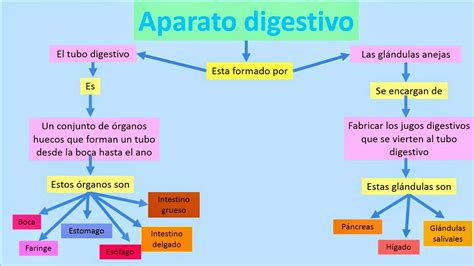 FisiologÍa MÉdica Melissa Guadalupe Romero Ojeda Generalidades Del