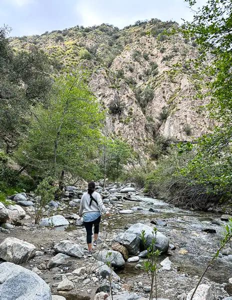 Eaton Canyon Falls Hike A Guide To Chasing A Waterfall In Pasadena