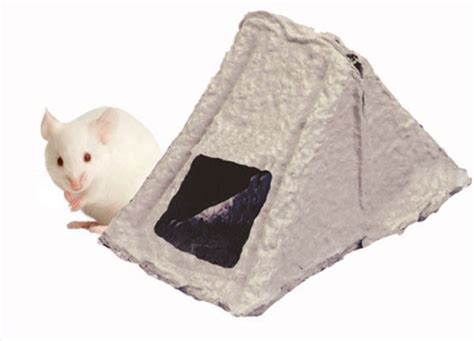 Addressing The Environmental Enrichment Needs Of Mice Thinking Outside