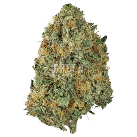 Buy Northern Lights 5 X Haze HerbandPot Cannabis Products Online Now