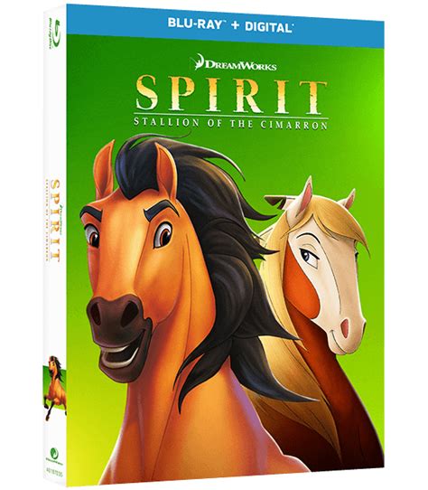 Dreamworks Spirit Stallion Create