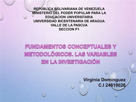 Fundamentos Conceptuales Y Metodol Gicos Las Variables En La