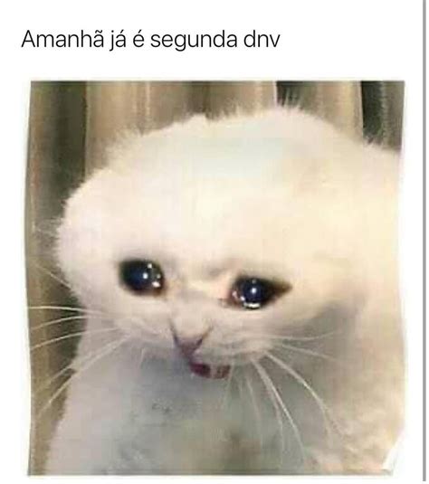 Amanh J Segunda Dnv Memes