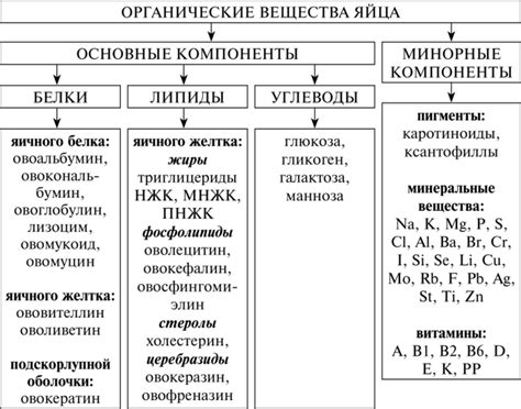 СТРОЕНИЕ И ХИМИЧЕСКИЙ СОСТАВ ЯИЦ - Технология переработки яиц