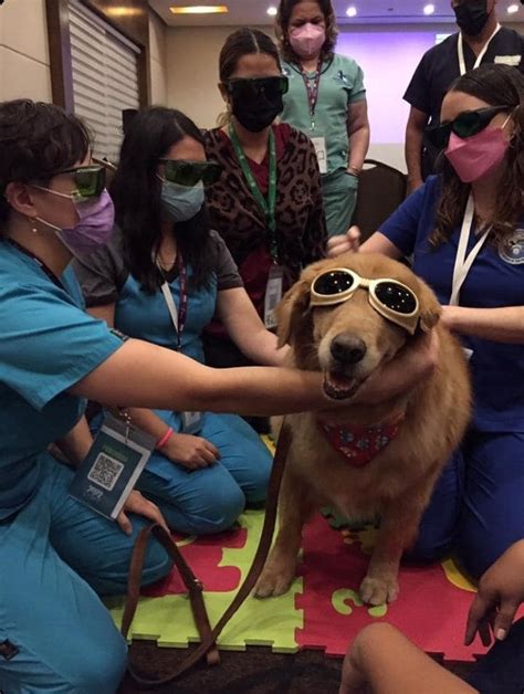 Monterrey Veterinary Congress Focus On Rehabilitation With M Vet And