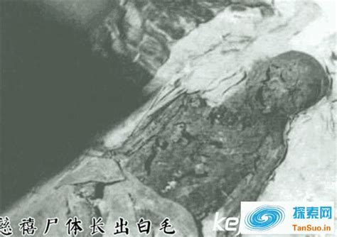 慈禧太后尸体长白毛 孙殿英打开慈禧墓发生可怕一幕 探索网