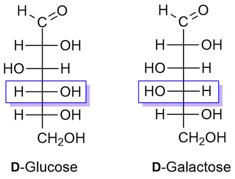 D Galactose Fischer