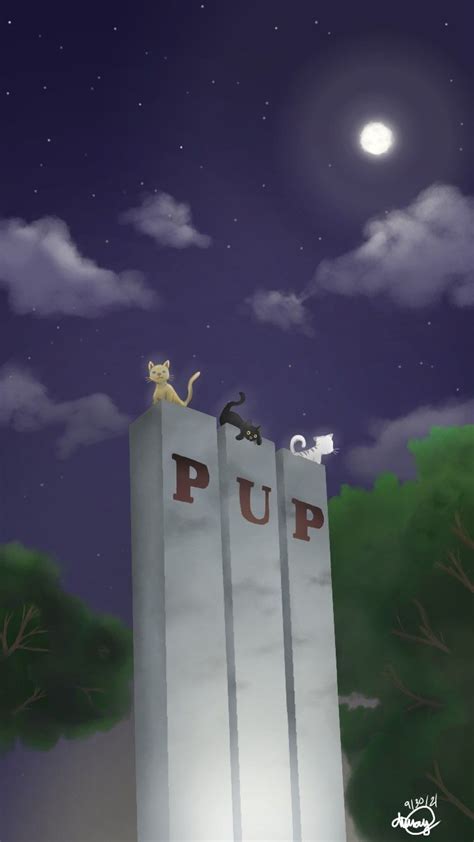 PUP Cattos