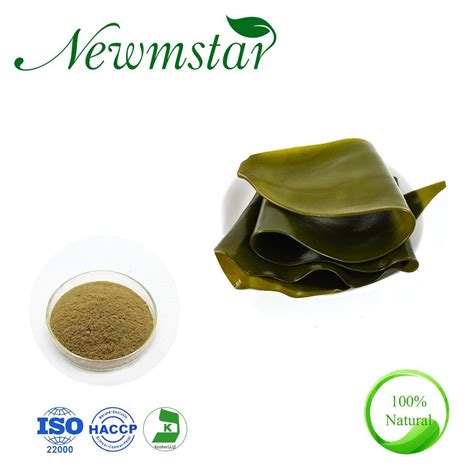 Kelp Extract Laminaria Japonica Extract For Cosmetic Plant Extract And Herbal Extract