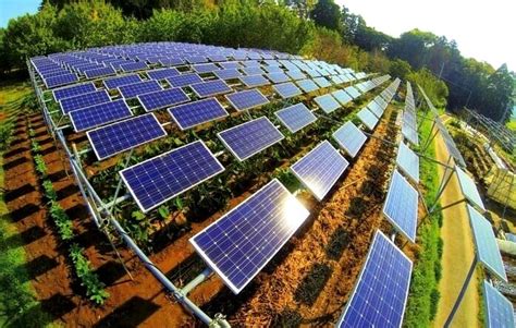 PORQUE USAR ENERGIA SOLAR EM PROPRIEDADES RURAIS