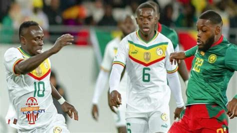 Senegal Vs Cameroun Can Live Lotty Laurice