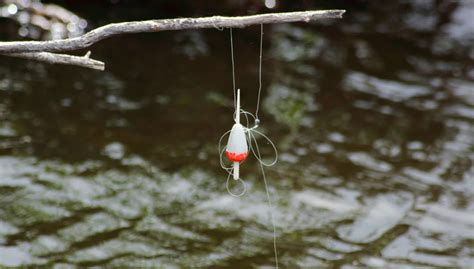 C Mo Usar Diferentes Tipos De L Neas De Pesca De Pesca Anzuelo