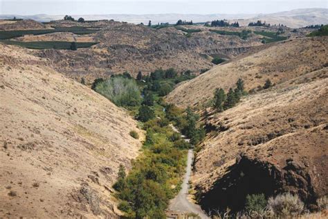 Cowiche Canyon Trails: Best Trail System in Yakima!