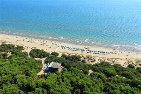 An Aerial View Of A Beach With Trees And People