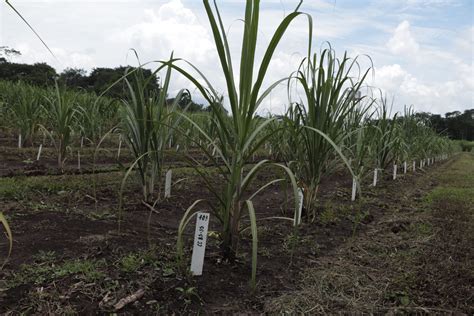 Fortalece México investigación y transferencia de tecnología en la