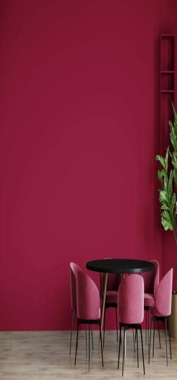 Top 20 Dark Pink Colour Combinations for Your Walls 2025