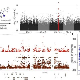 Allelic variation at a major effect locus affects the G-I trade-off in ...