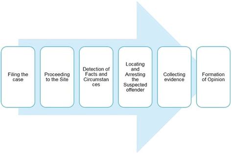 Preliminary Investigation Definition Steps Analysis