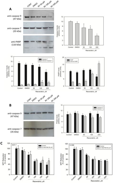 A Activation Of Caspase Caspase And Parp By Resveratrol In