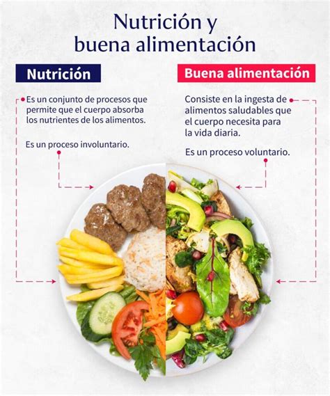 Beneficios De Tener Una Buena Alimentaci N Para Tu Salud Escuela