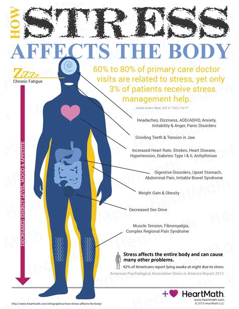 How Stress Affects The Body