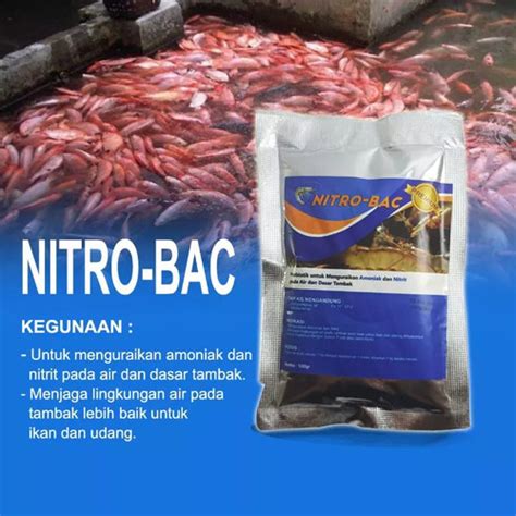 Jual Probiotik Nitrobacter Nitrobac Bakteri Starter Kolam Ikan Koi Nila