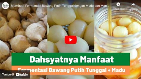 Manfaat Bawang Lanang | 2024 - App Game MOD, Parenting, Streaming Film