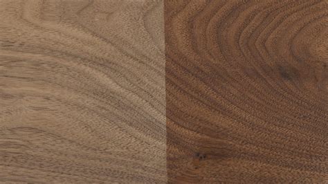 Woodworking With Walnut Popular Woodworking