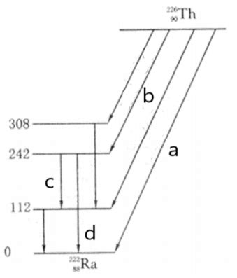 20在如下图所示的衰变纲图中 衰变方式d属于 衰变 试题通
