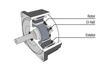 Diferencias Entre Motores Con Escobillas Y Brushless Blog Clr