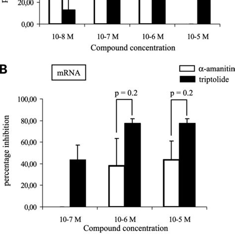 Triptolide Inhibits Synthesis Of Both RRNA And MRNA A And B A549